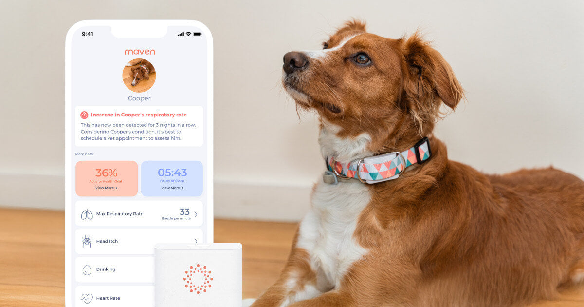 Maven Pet Health Tracker | 24/7 Monitoring | Pet Smart Collar