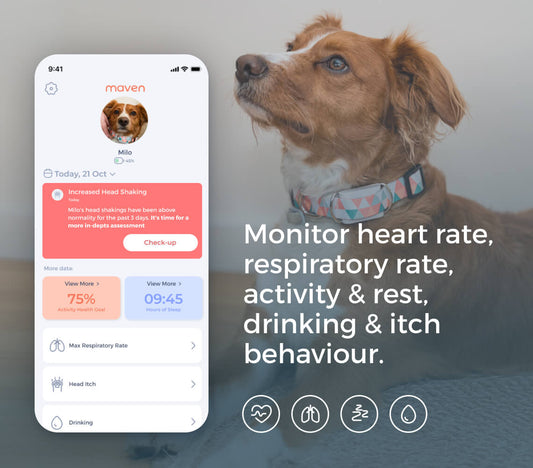 Maven Dog Health Tracker Membership