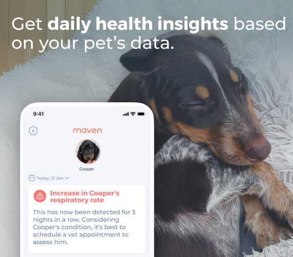 Maven Dog Health Tracker Membership